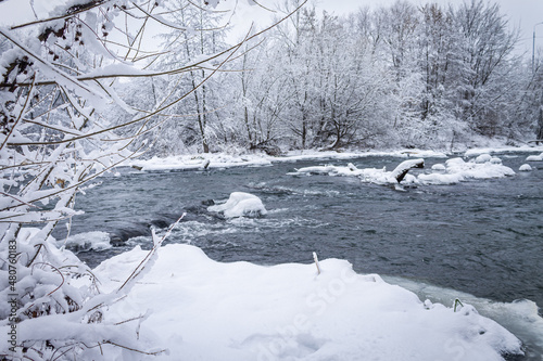 Winter forest by the river. Very beautiful natural background.