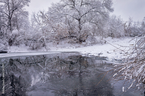 Winter forest by the river. Very beautiful natural background.