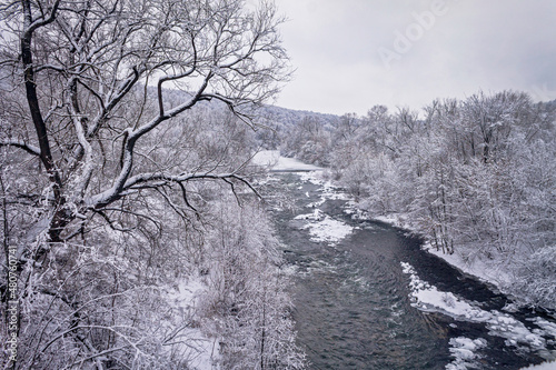 Winter forest by the river. Very beautiful natural background.