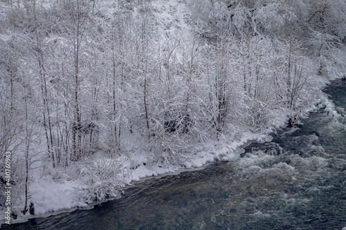 Winter forest by the river. Very beautiful natural background.