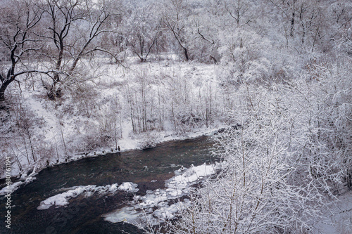 Winter forest by the river. Very beautiful natural background.