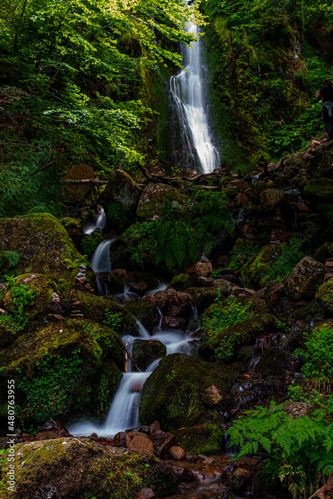 Auvergne