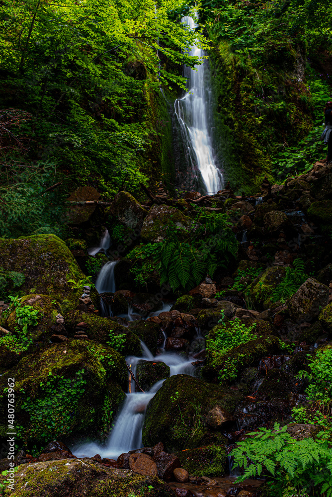 Auvergne