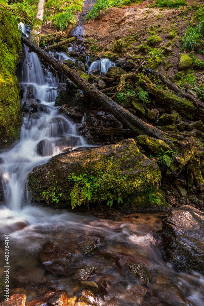 Auvergne
