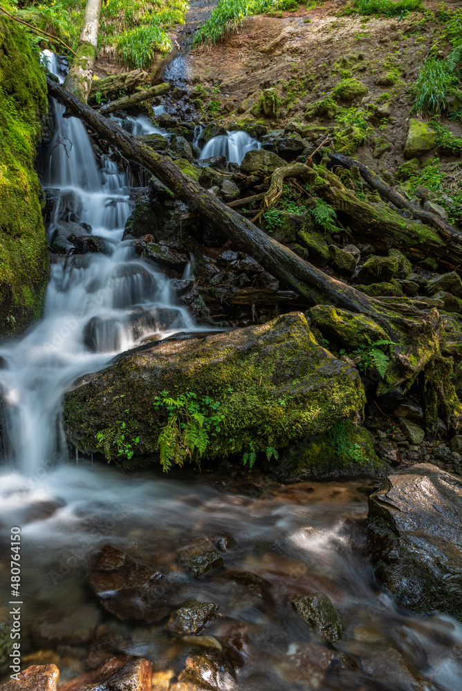 Auvergne