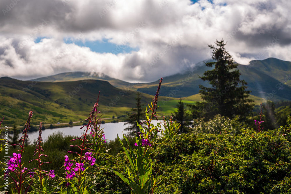 Auvergne