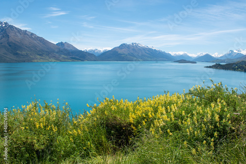 Yellow flowers in front of bright blue water lake in mountains