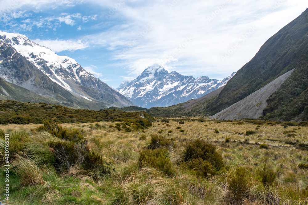 Snow capped rocky mountains over brown field in New Zealand