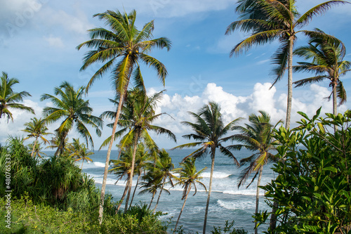 Green tropical palm trees swaying in wind over blue ocean waves and blue sky and puffy clouds in Fiji