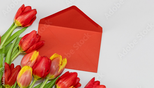 Tulips and greting card on white background