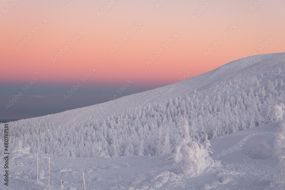夕暮れ時の山形蔵王 地蔵山頂駅から見た樹氷と空