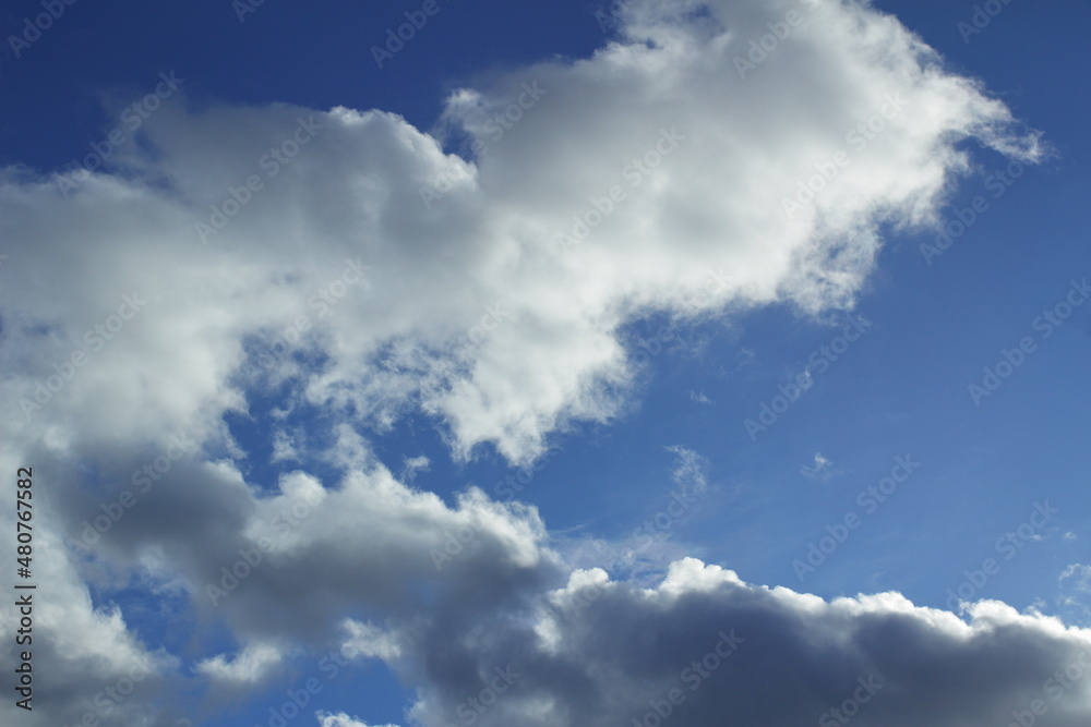 fancy white clouds in a blue sky