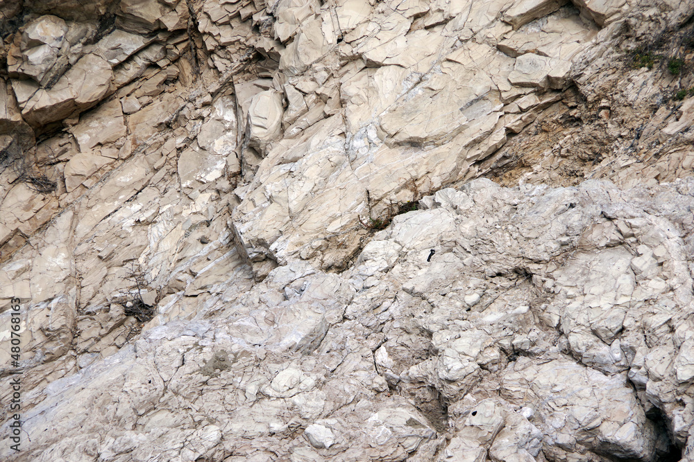 Fototapeta premium Full frame close-up view of a sandstone bluff at the California coast