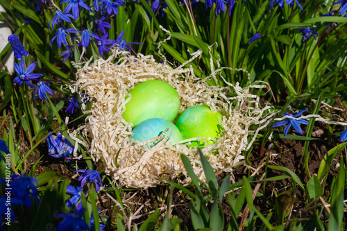 Easter eggs in a nest on spring soil with blue flowers and green leaves for the Easter holiday