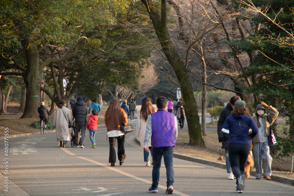 Obraz premium 代々木公園の散歩
