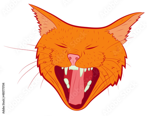 Realistic yawning cat portrait. Vector illustration.