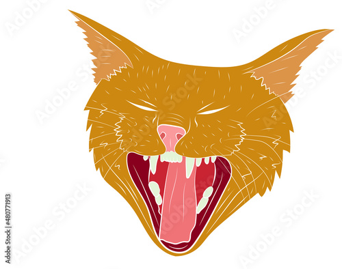 Realistic yawning cat portrait. Vector illustration.