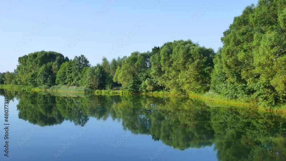 A quiet river bank in the forest A quiet river bank in the forest