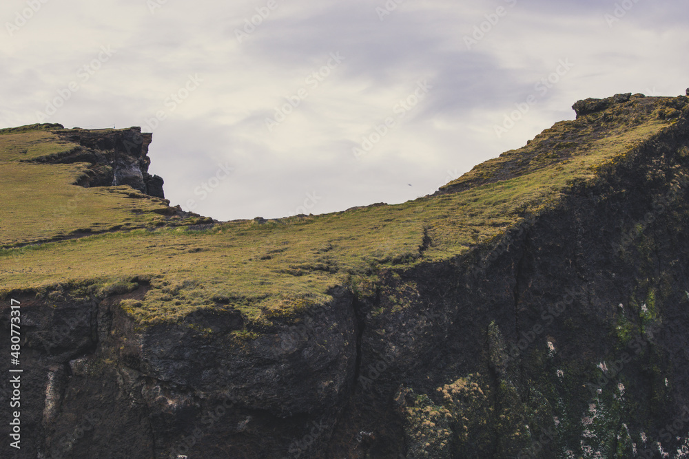 Naklejka premium landscape with sky
