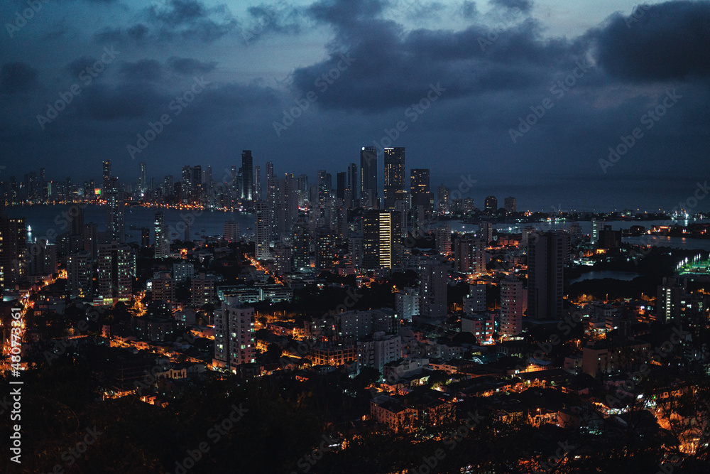 Obraz premium city skyline at night