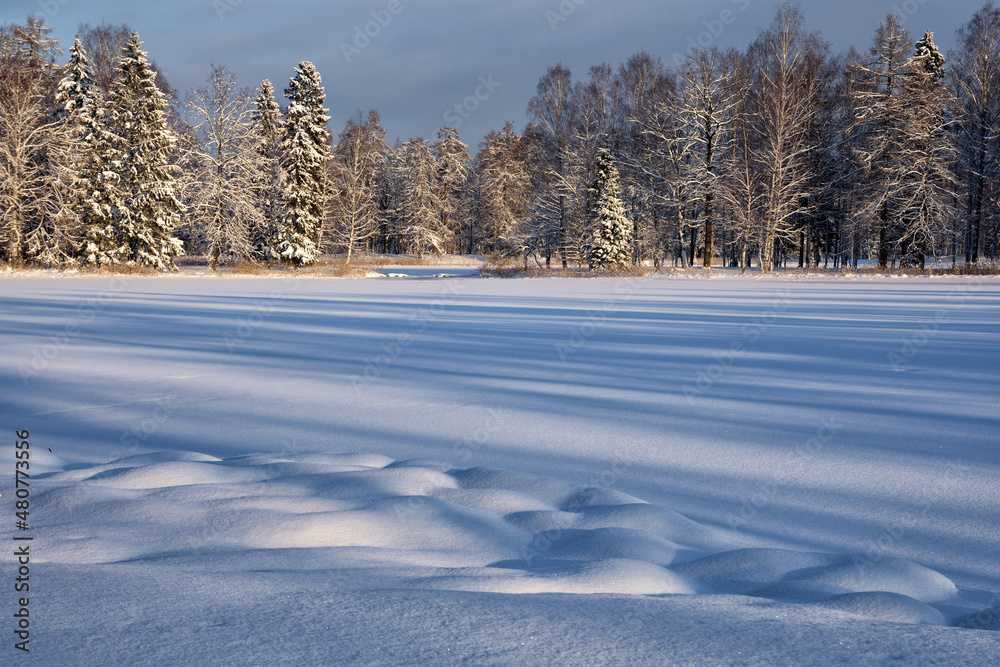 Beautiful winter landscape.