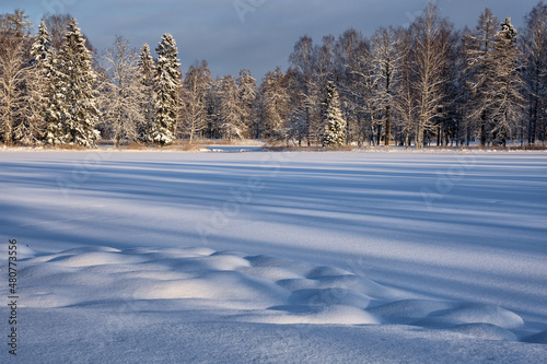 Obraz na płótnie Beautiful winter landscape. w salonie