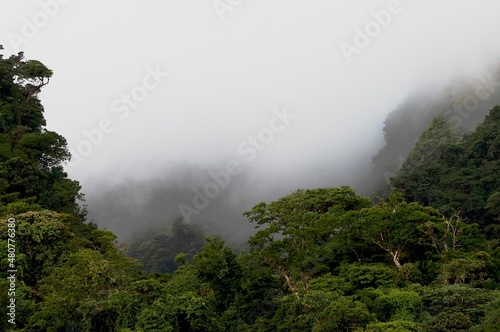 Monteverde Cloud Forest  Costa Rica