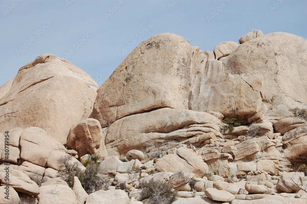rocks in the desert Joshua Tree California rocks in the desert Joshua Tree California