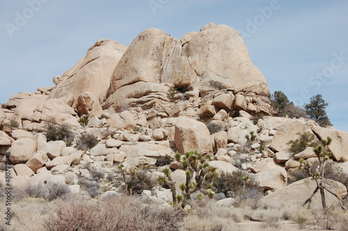 rocks in the desert Joshua Tree California