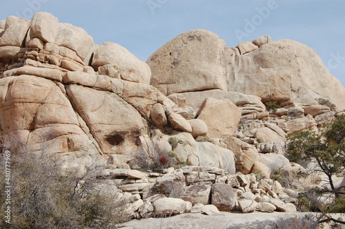 rocks in the desert Joshua Tree California