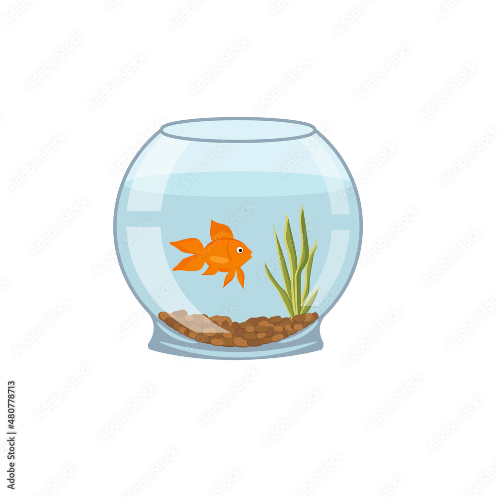Aquarium algae fish icon. Cartoon of aquarium algae fish vector icon for web design isolated on white background
