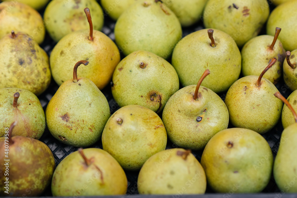 Boxes with ripe juicy pears are standing after harvesting close-up. Healthy organic food. Natural and environmentally friendly agriculture. Boxes with ripe juicy pears are standing after harvesting close-up. Healthy organic food. Natural and environmentally friendly agriculture.