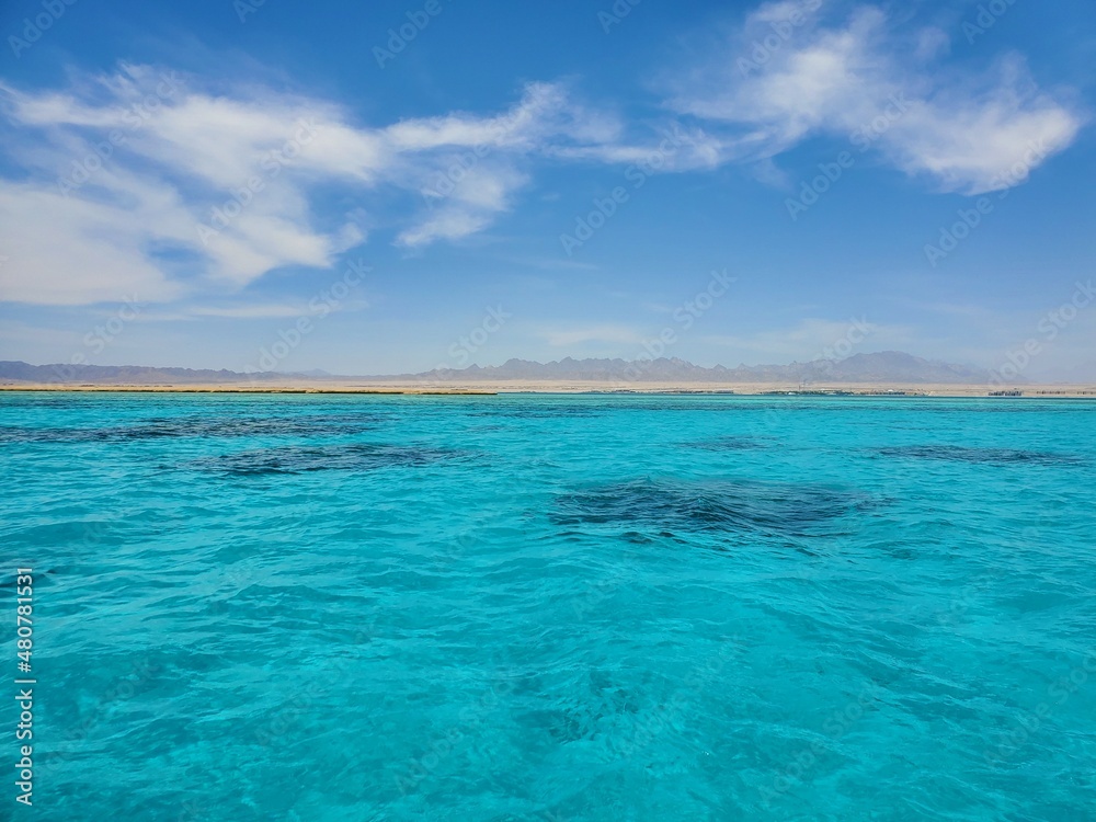 coral beach with turquoise water