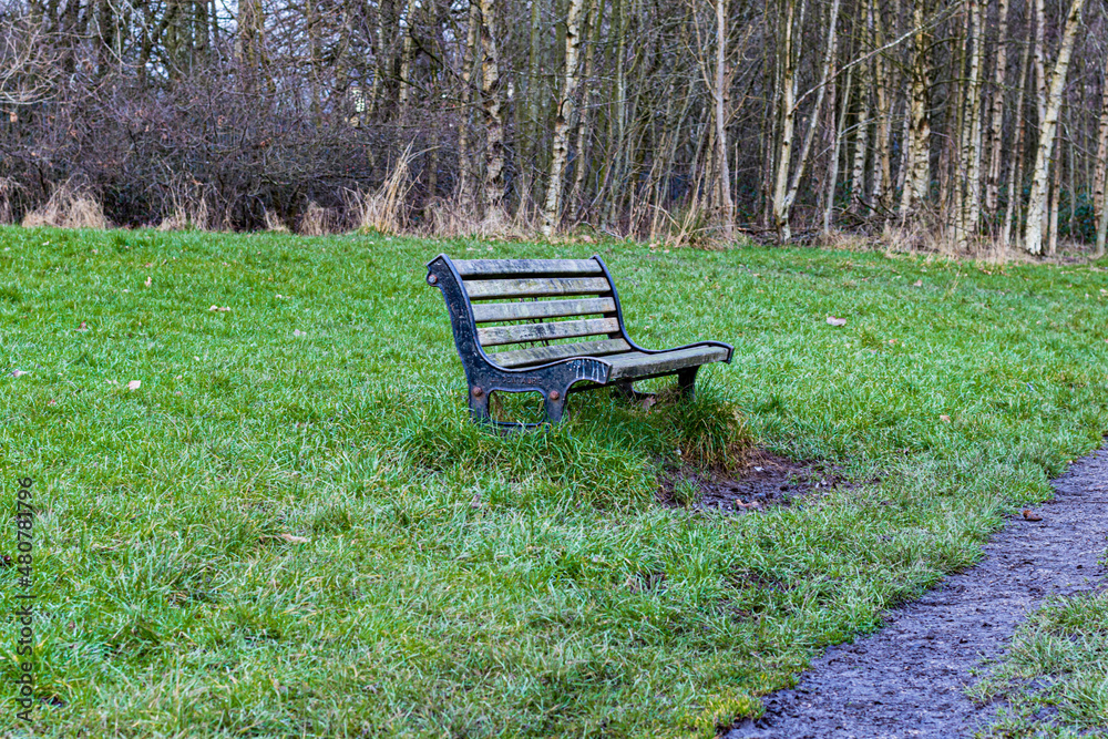 bench in the park
