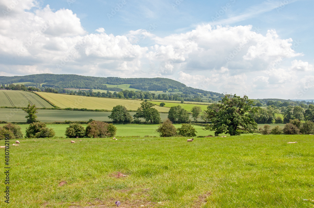 summertime scenery in the UK countryside. summertime scenery in the UK countryside.