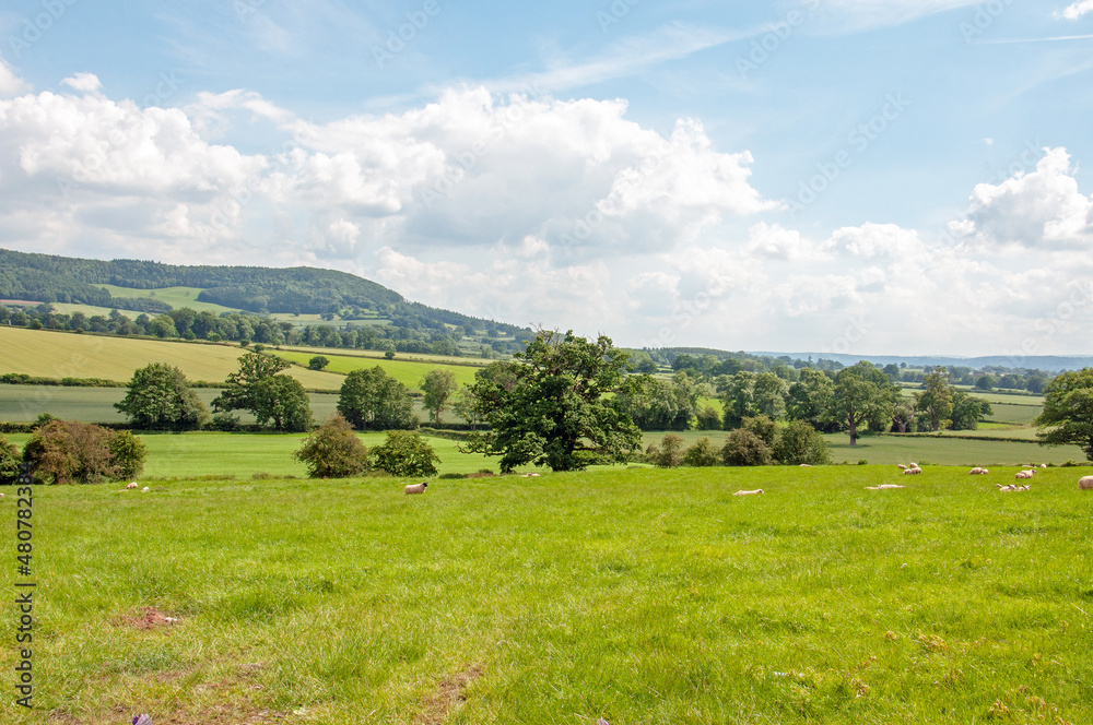 summertime scenery in the UK countryside. summertime scenery in the UK countryside.