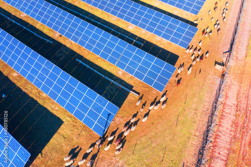 Obraz na płótnie flock of sheep solar panels w salonie