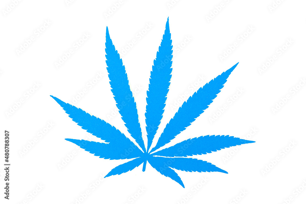 Cannabis leaf icon isolated on white background