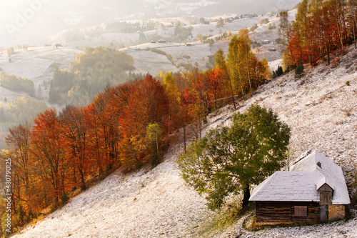 Beautiful colourful landscape between autumn and winter in Bran - Brasov, Romania.