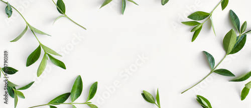 Banner made of branches with green leaves on white background. Flat lay, top view, copy space