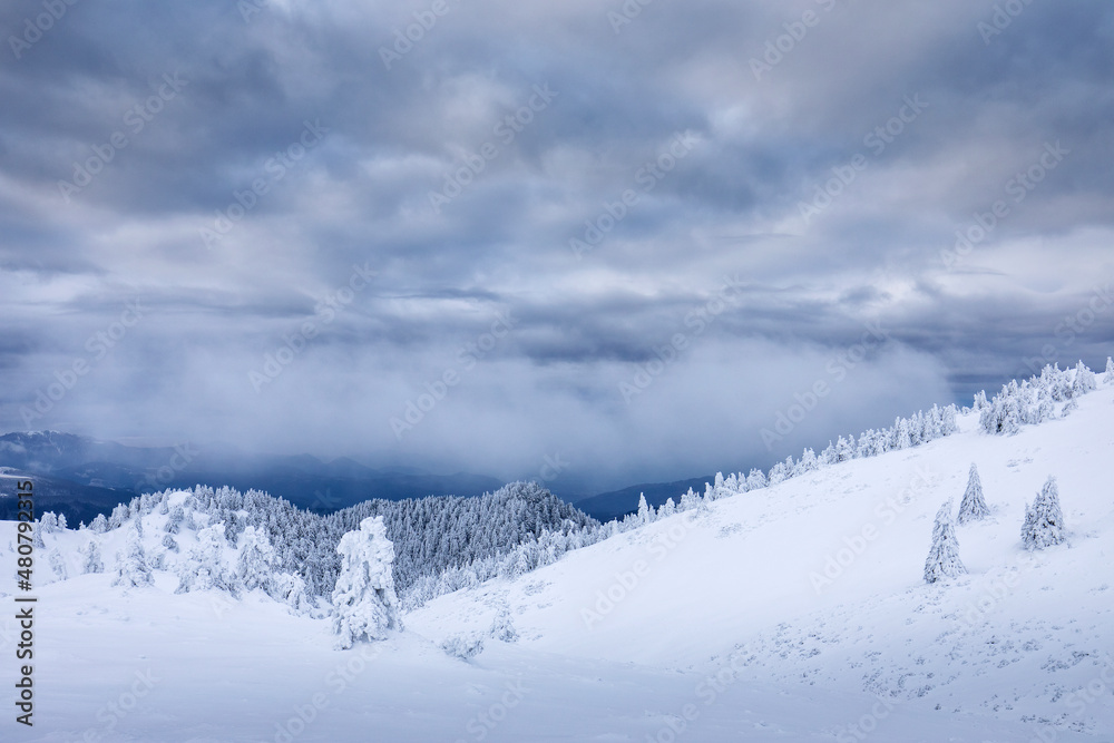 Beautiful landscape of winter seasons with firs full of snow. Mount Ciucas in Romania.