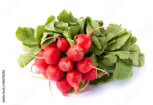 Fresh ripe radish isolated on white background 