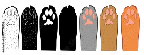 Canvas Print Set of Realistic cat paw pet cute