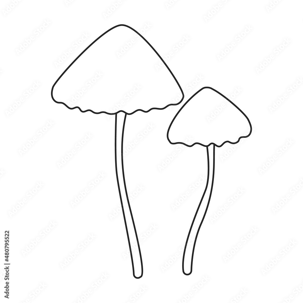 Amanita vector icon.Outline vector icon isolated on white background amanita. Amanita vector icon.Outline vector icon isolated on white background amanita.