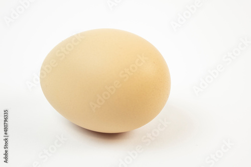 Chicken egg on white background.