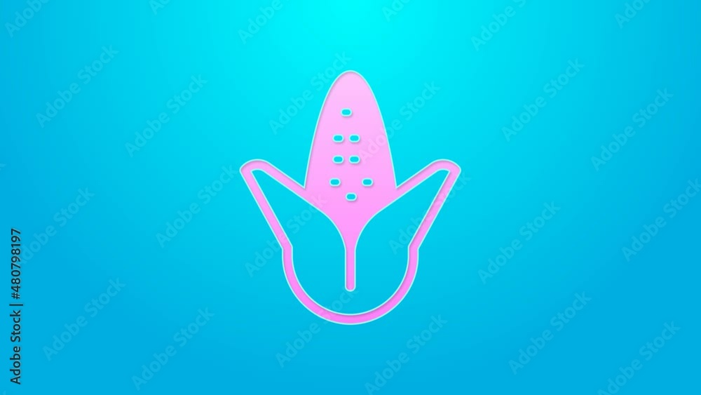 Pink line Corn icon isolated on blue background. 4K Video motion graphic animation Pink line Corn icon isolated on blue background. 4K Video motion graphic animation