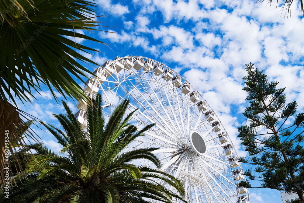 Fototapeta premium A large Ferris wheel against the background of a blue sky with clouds, green palm and pine trees grow nearby. Saranda, Albania.