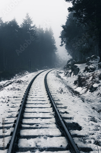 Bahnschienen führen in den nebligen Winterwald