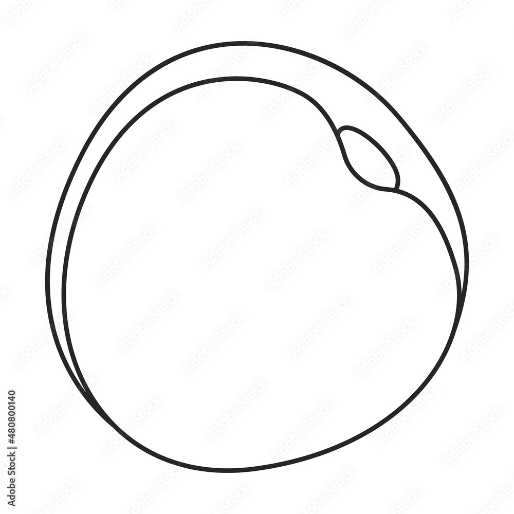 Apricot dried vector icon.Outline vector icon isolated on white background apricot dried. Apricot dried vector icon.Outline vector icon isolated on white background apricot dried.