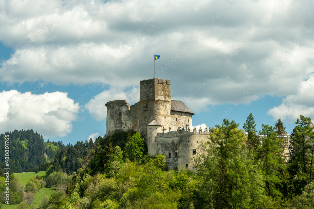 Ruins of medieval castle - Niedzica in Poland